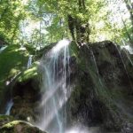 آبشار اوبن، آبشاری در میان درختان سبز ساری