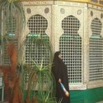 پرده برداری از نیم ضریح حضرت زینب(س) در خیمه گاه کربلا