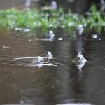 پربارشترین و کمبارشترین نقاط ایران