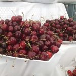عرضه گیلاس در قلب زمستان!