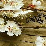 نقش ايرانيان در قيام امام زمان (عج)