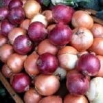پیاز از دلار گرانتر شد!