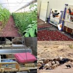 سالیانه یک میلیون ۲۰۰ هزار نفر به جمعیت بیکار کشور اضافه می شود