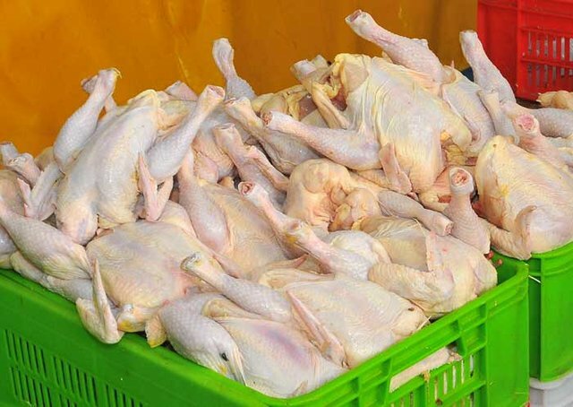 جریمه ۴۰۰ میلیونی برای گرانفروشان مرغ