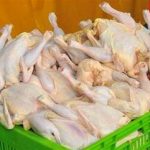 قیمت مرغ در کشتارگاه ۷۲۰۰ تومان شد