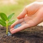 گرانی کود، گریبان خودکفایی محصولات استراتژیک را میگیرد؟