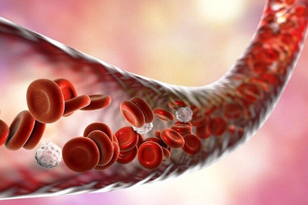 بهره‌گیری از سلول‌های بنیادی خون بندناف برای بهبود بیماری‌های سخت‌