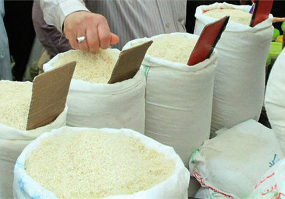 دلیل گرانی برنج چیست/ وقتی نظارت بر قیمت برنج ایرانی نیست
