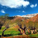 ایران زیبا؛ یک روز پاییزی در  روستای زیبا و بکر «افجه» در نزدیکی پایتخت